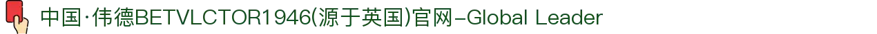 中国·伟德BETVLCTOR1946(源于英国)官网-Global Leader